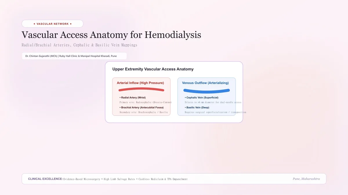Radiocephalic AV Fistula (Brescia-Cimino Wrist Fistula)